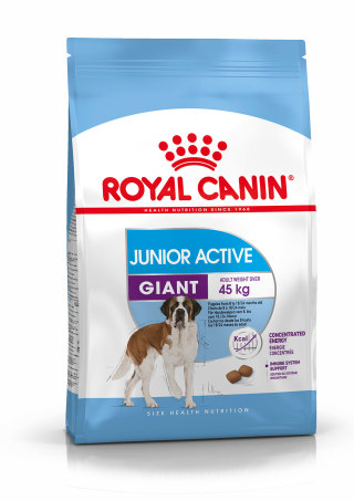 Giant Junior Active